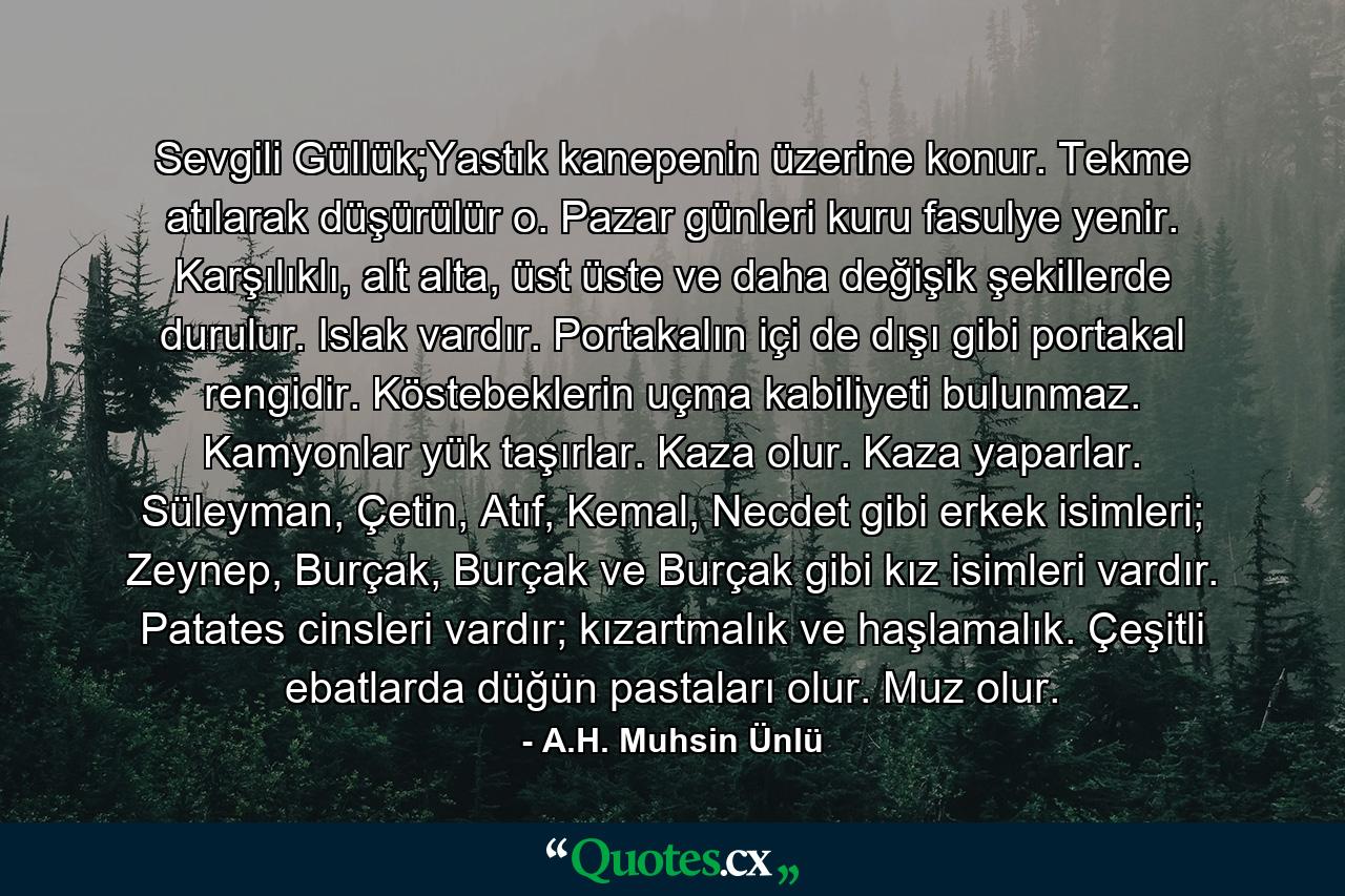 Sevgili Güllük;Yastık kanepenin üzerine konur. Tekme atılarak düşürülür o. Pazar günleri kuru fasulye yenir. Karşılıklı, alt alta, üst üste ve daha değişik şekillerde durulur. Islak vardır. Portakalın içi de dışı gibi portakal rengidir. Köstebeklerin uçma kabiliyeti bulunmaz. Kamyonlar yük taşırlar. Kaza olur. Kaza yaparlar. Süleyman, Çetin, Atıf, Kemal, Necdet gibi erkek isimleri; Zeynep, Burçak, Burçak ve Burçak gibi kız isimleri vardır. Patates cinsleri vardır; kızartmalık ve haşlamalık. Çeşitli ebatlarda düğün pastaları olur. Muz olur. - Quote by A.H. Muhsin Ünlü