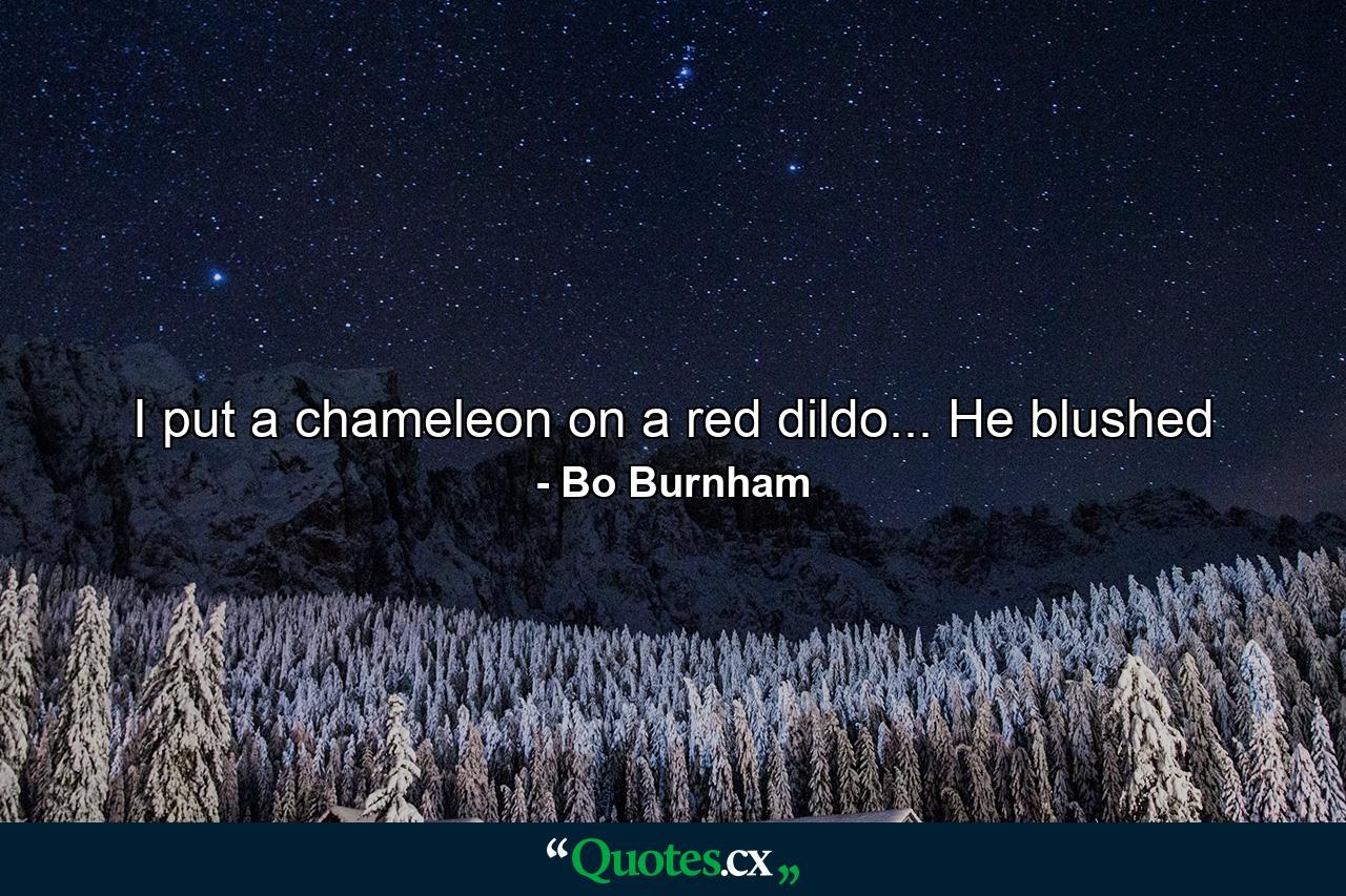 I put a chameleon on a red dildo... He blushed - Quote by Bo Burnham