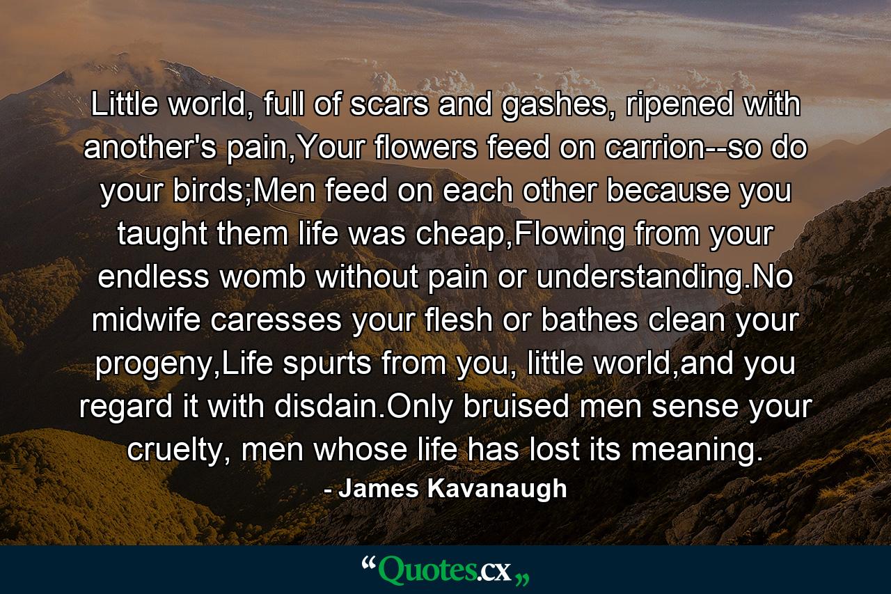 Little world, full of scars and gashes, ripened with another's pain,Your flowers feed on carrion--so do your birds;Men feed on each other because you taught them life was cheap,Flowing from your endless womb without pain or understanding.No midwife caresses your flesh or bathes clean your progeny,Life spurts from you, little world,and you regard it with disdain.Only bruised men sense your cruelty, men whose life has lost its meaning. - Quote by James Kavanaugh