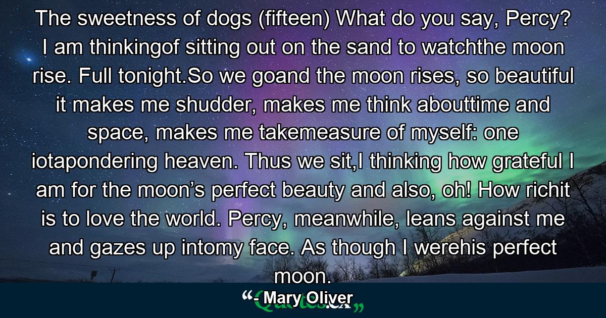 The sweetness of dogs (fifteen) What do you say, Percy? I am thinkingof sitting out on the sand to watchthe moon rise. Full tonight.So we goand the moon rises, so beautiful it makes me shudder, makes me think abouttime and space, makes me takemeasure of myself: one iotapondering heaven. Thus we sit,I thinking how grateful I am for the moon’s perfect beauty and also, oh! How richit is to love the world. Percy, meanwhile, leans against me and gazes up intomy face. As though I werehis perfect moon. - Quote by Mary Oliver