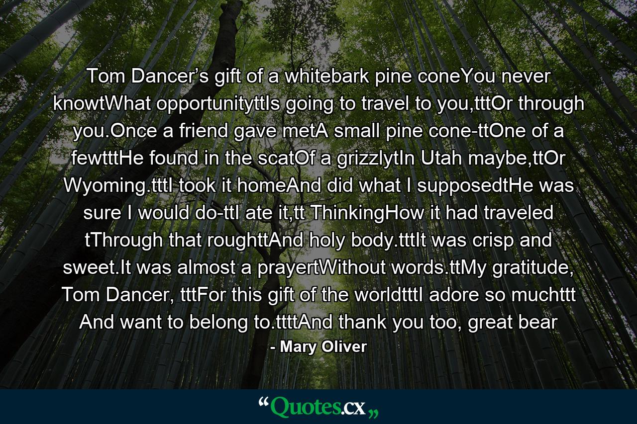 Tom Dancer’s gift of a whitebark pine coneYou never knowtWhat opportunityttIs going to travel to you,tttOr through you.Once a friend gave metA small pine cone-ttOne of a fewtttHe found in the scatOf a grizzlytIn Utah maybe,ttOr Wyoming.tttI took it homeAnd did what I supposedtHe was sure I would do-ttI ate it,tt ThinkingHow it had traveled tThrough that roughttAnd holy body.tttIt was crisp and sweet.It was almost a prayertWithout words.ttMy gratitude, Tom Dancer, tttFor this gift of the worldtttI adore so muchttt And want to belong to.ttttAnd thank you too, great bear - Quote by Mary Oliver