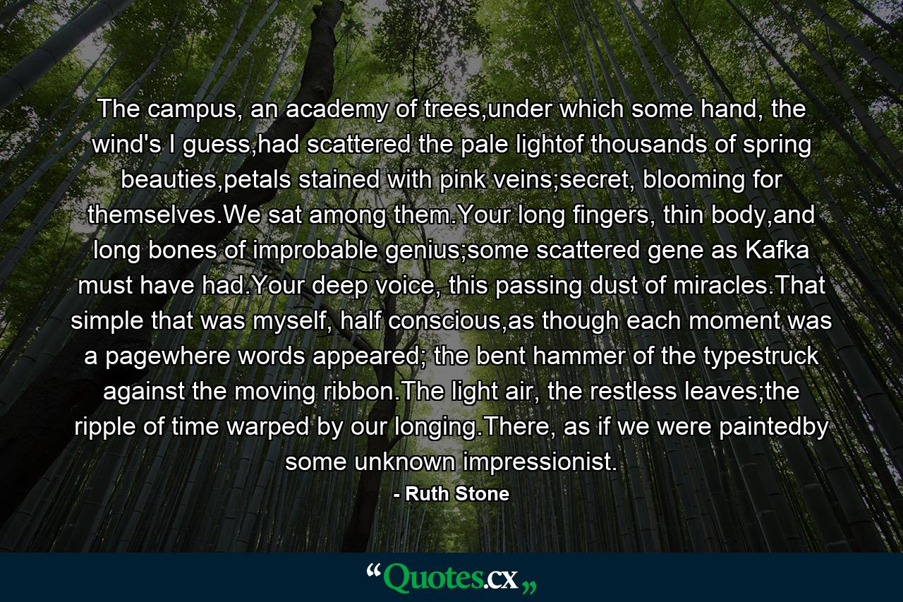 The campus, an academy of trees,under which some hand, the wind's I guess,had scattered the pale lightof thousands of spring beauties,petals stained with pink veins;secret, blooming for themselves.We sat among them.Your long fingers, thin body,and long bones of improbable genius;some scattered gene as Kafka must have had.Your deep voice, this passing dust of miracles.That simple that was myself, half conscious,as though each moment was a pagewhere words appeared; the bent hammer of the typestruck against the moving ribbon.The light air, the restless leaves;the ripple of time warped by our longing.There, as if we were paintedby some unknown impressionist. - Quote by Ruth Stone