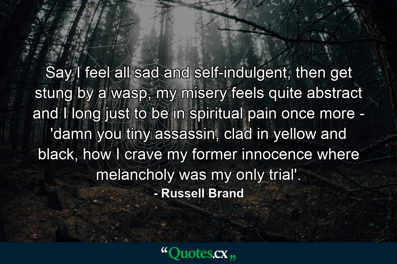 Say I feel all sad and self-indulgent, then get stung by a wasp, my misery feels quite abstract and I long just to be in spiritual pain once more - 'damn you tiny assassin, clad in yellow and black, how I crave my former innocence where melancholy was my only trial'. - Quote by Russell Brand