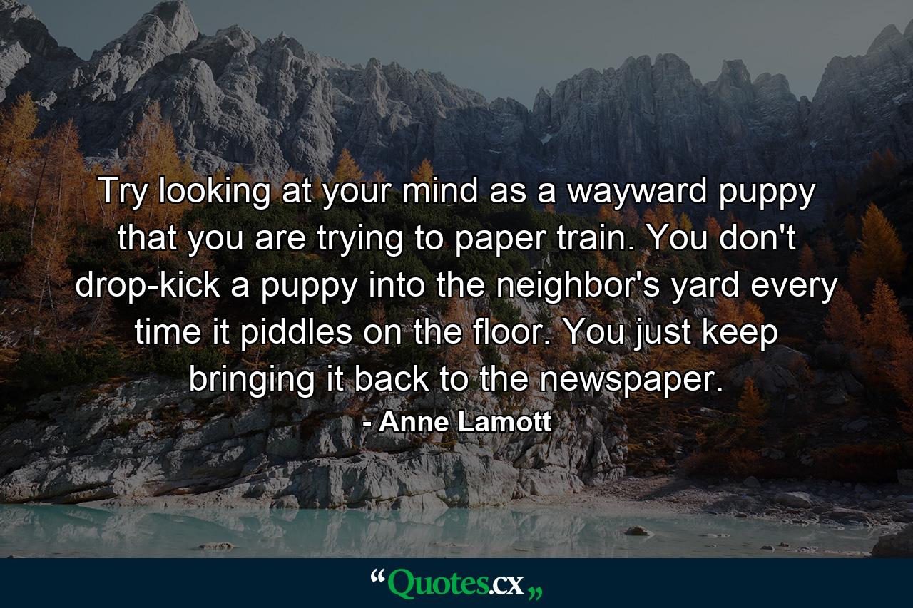 Try looking at your mind as a wayward puppy that you are trying to paper train. You don't drop-kick a puppy into the neighbor's yard every time it piddles on the floor. You just keep bringing it back to the newspaper. - Quote by Anne Lamott