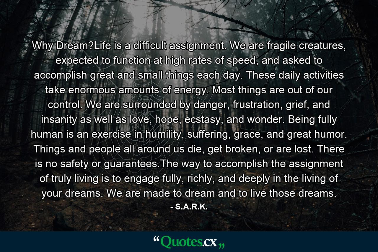 Why Dream?Life is a difficult assignment. We are fragile creatures, expected to function at high rates of speed, and asked to accomplish great and small things each day. These daily activities take enormous amounts of energy. Most things are out of our control. We are surrounded by danger, frustration, grief, and insanity as well as love, hope, ecstasy, and wonder. Being fully human is an exercise in humility, suffering, grace, and great humor. Things and people all around us die, get broken, or are lost. There is no safety or guarantees.The way to accomplish the assignment of truly living is to engage fully, richly, and deeply in the living of your dreams. We are made to dream and to live those dreams. - Quote by S.A.R.K.