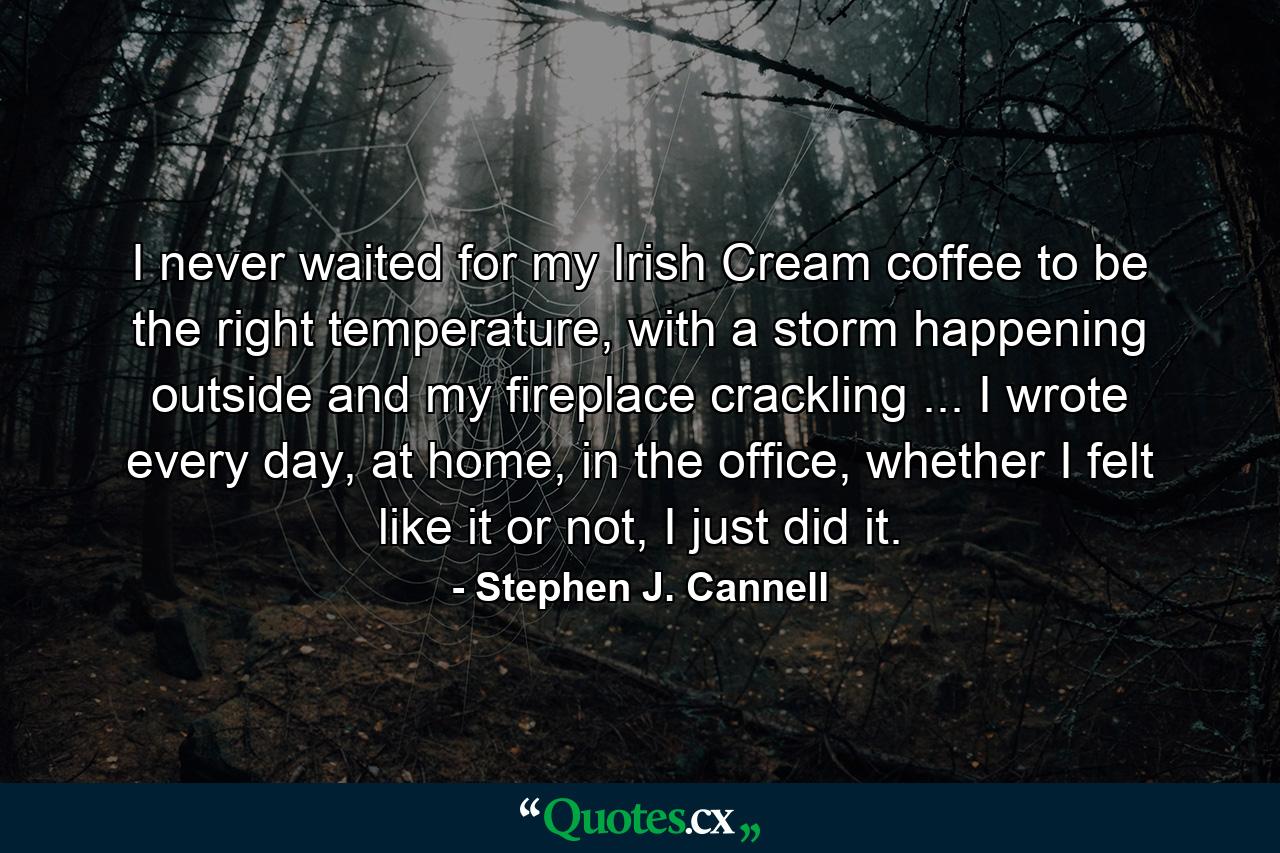 I never waited for my Irish Cream coffee to be the right temperature, with a storm happening outside and my fireplace crackling ... I wrote every day, at home, in the office, whether I felt like it or not, I just did it. - Quote by Stephen J. Cannell