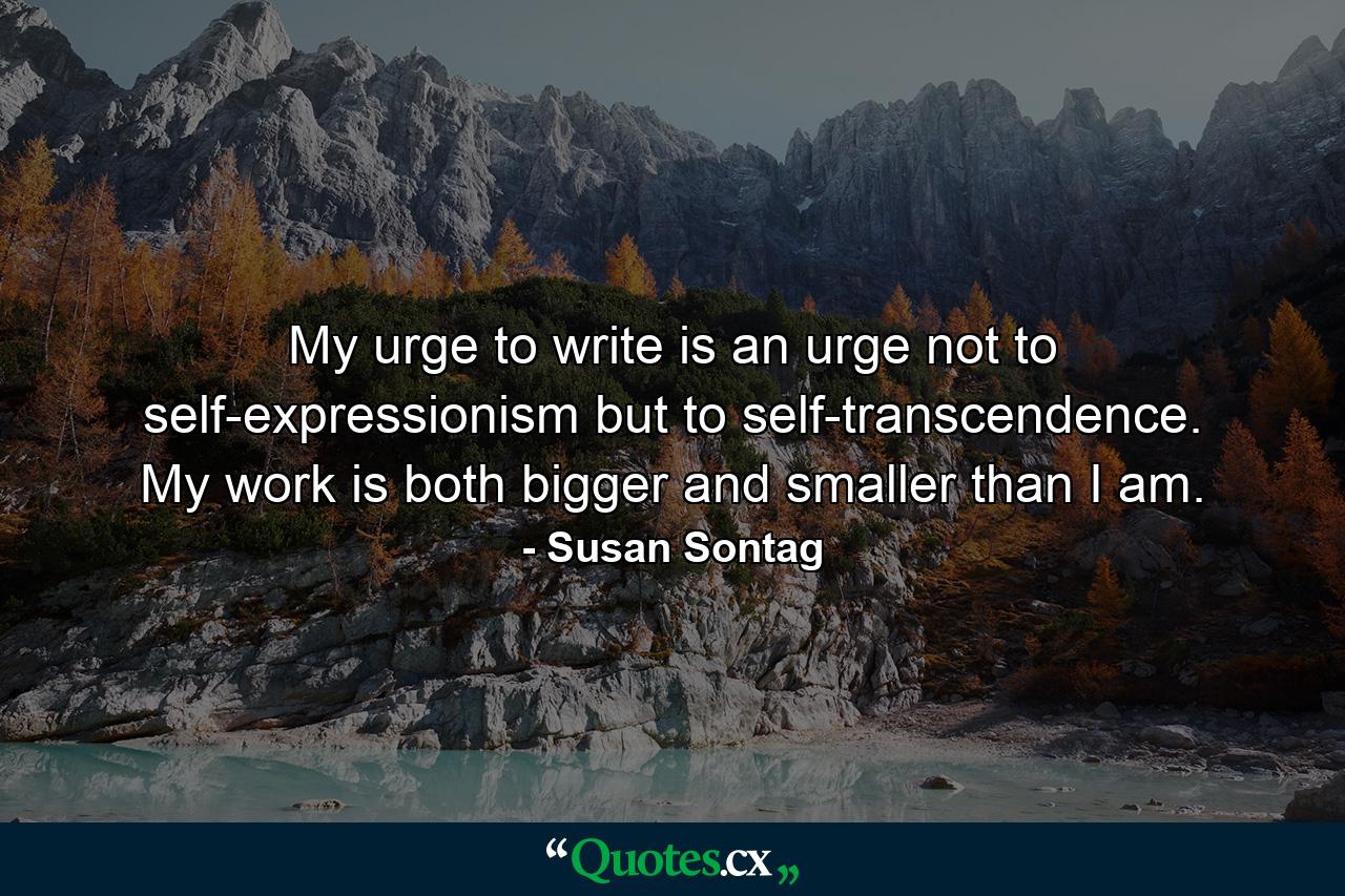 My urge to write is an urge not to self-expressionism but to self-transcendence. My work is both bigger and smaller than I am. - Quote by Susan Sontag