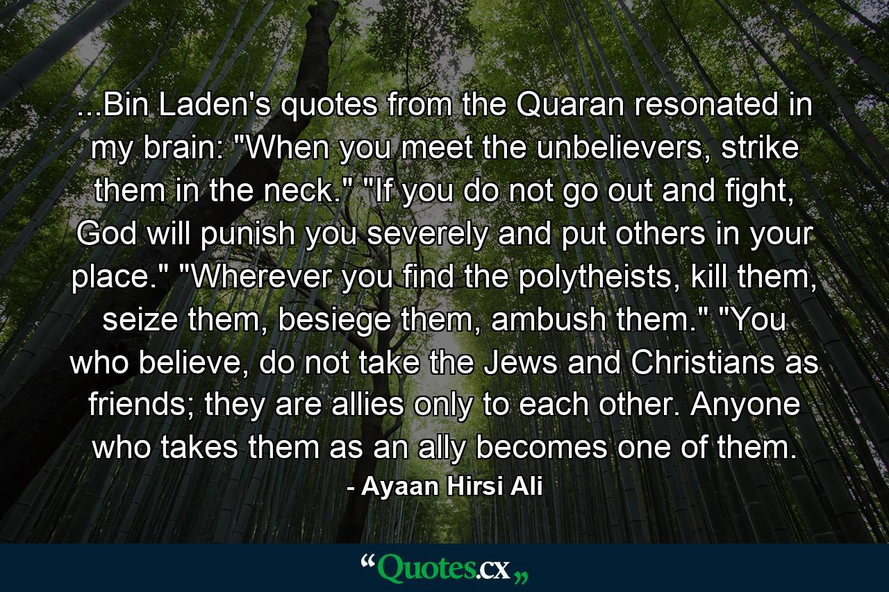 ...Bin Laden's quotes from the Quaran resonated in my brain: 