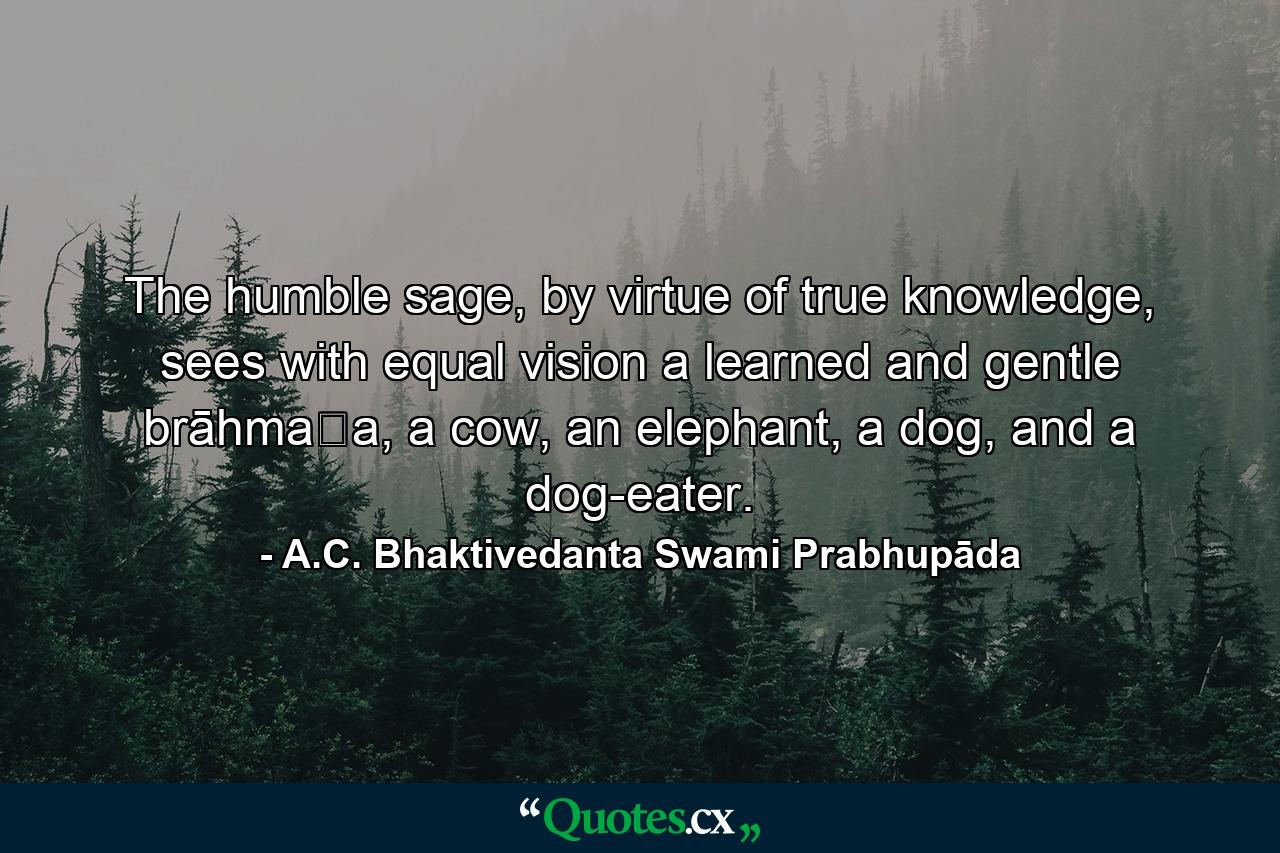 The humble sage, by virtue of true knowledge, sees with equal vision a learned and gentle brāhmaṇa, a cow, an elephant, a dog, and a dog-eater. - Quote by A.C. Bhaktivedanta Swami Prabhupāda