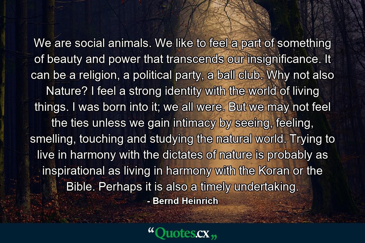 We are social animals. We like to feel a part of something of beauty and power that transcends our insignificance. It can be a religion, a political party, a ball club. Why not also Nature? I feel a strong identity with the world of living things. I was born into it; we all were. But we may not feel the ties unless we gain intimacy by seeing, feeling, smelling, touching and studying the natural world. Trying to live in harmony with the dictates of nature is probably as inspirational as living in harmony with the Koran or the Bible. Perhaps it is also a timely undertaking. - Quote by Bernd Heinrich