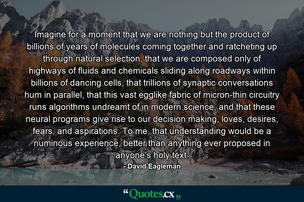 Imagine for a moment that we are nothing but the product of billions of years of molecules coming together and ratcheting up through natural selection, that we are composed only of highways of fluids and chemicals sliding along roadways within billions of dancing cells, that trillions of synaptic conversations hum in parallel, that this vast egglike fabric of micron-thin circuitry runs algorithms undreamt of in modern science, and that these neural programs give rise to our decision making, loves, desires, fears, and aspirations. To me, that understanding would be a numinous experience, better than anything ever proposed in anyone's holy text. - Quote by David Eagleman