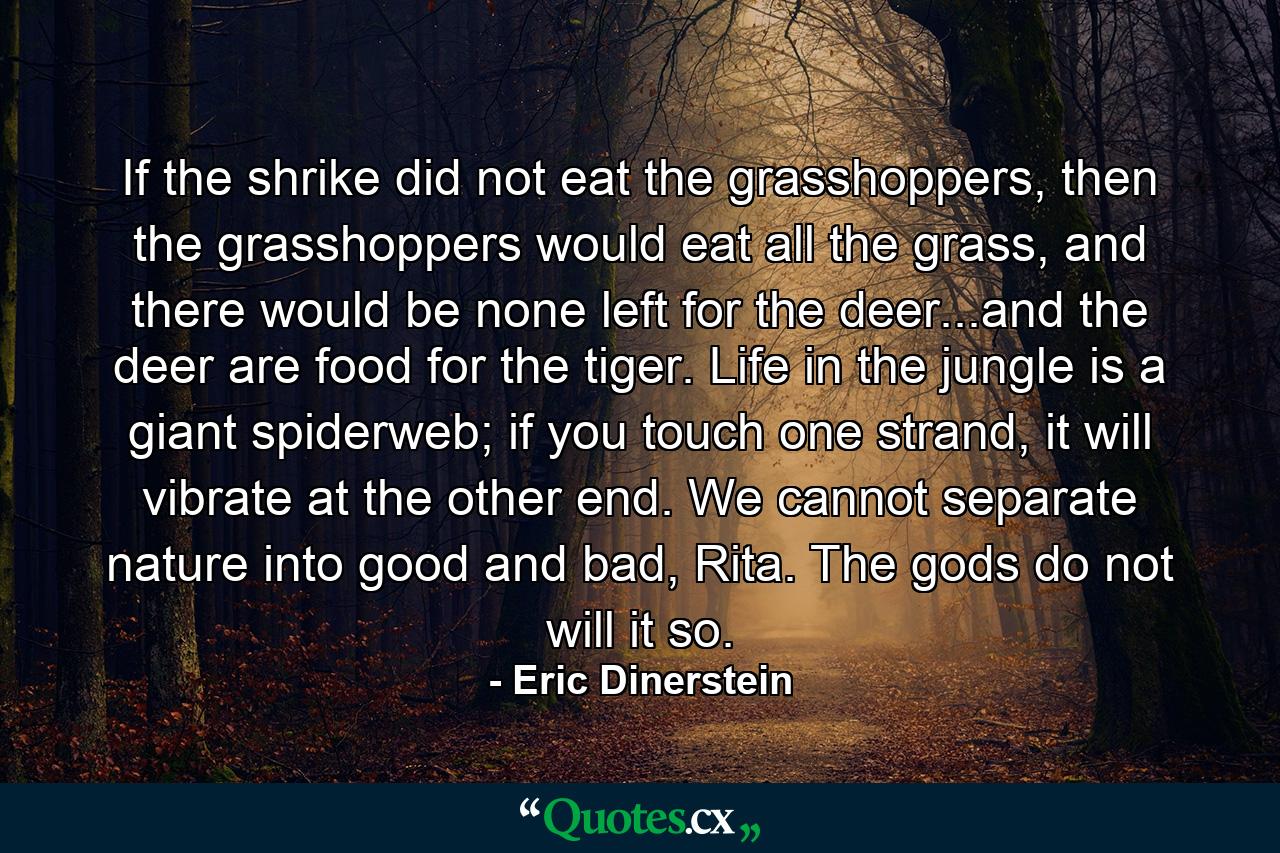 If the shrike did not eat the grasshoppers, then the grasshoppers would eat all the grass, and there would be none left for the deer...and the deer are food for the tiger. Life in the jungle is a giant spiderweb; if you touch one strand, it will vibrate at the other end. We cannot separate nature into good and bad, Rita. The gods do not will it so. - Quote by Eric Dinerstein