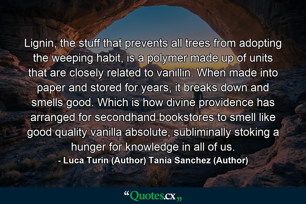 Lignin, the stuff that prevents all trees from adopting the weeping habit, is a polymer made up of units that are closely related to vanillin. When made into paper and stored for years, it breaks down and smells good. Which is how divine providence has arranged for secondhand bookstores to smell like good quality vanilla absolute, subliminally stoking a hunger for knowledge in all of us. - Quote by Luca Turin (Author) Tania Sanchez (Author)