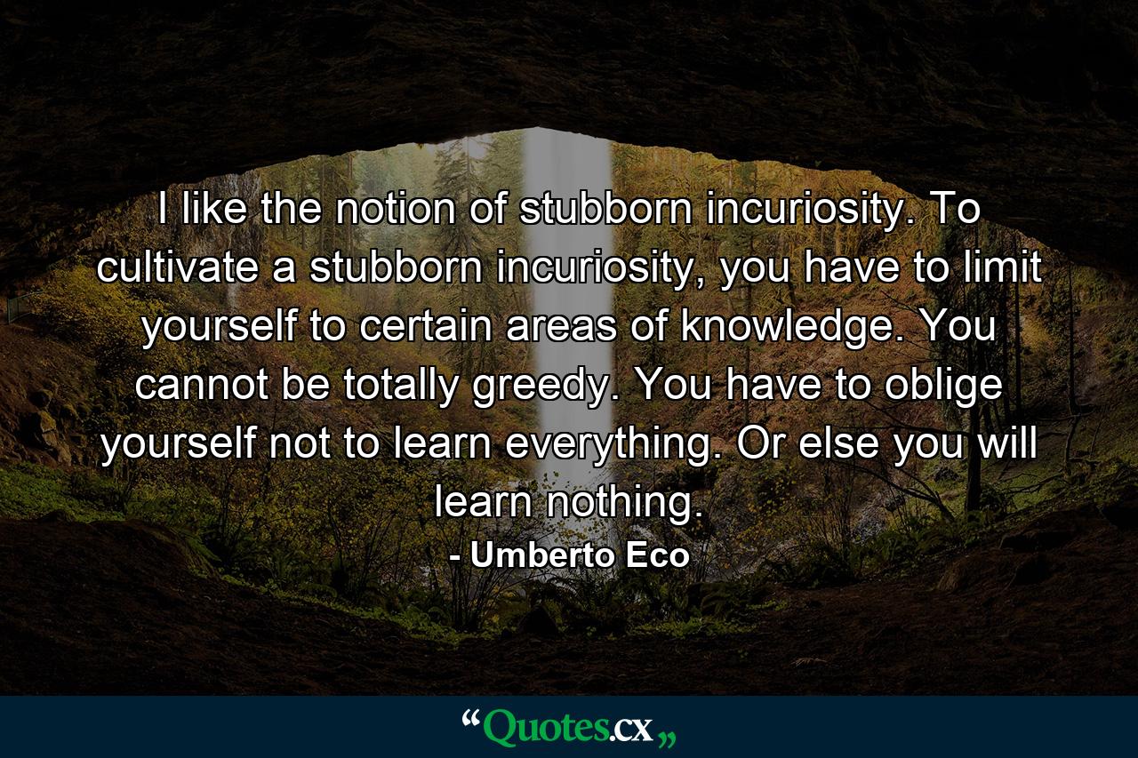 I like the notion of stubborn incuriosity. To cultivate a stubborn incuriosity, you have to limit yourself to certain areas of knowledge. You cannot be totally greedy. You have to oblige yourself not to learn everything. Or else you will learn nothing. - Quote by Umberto Eco