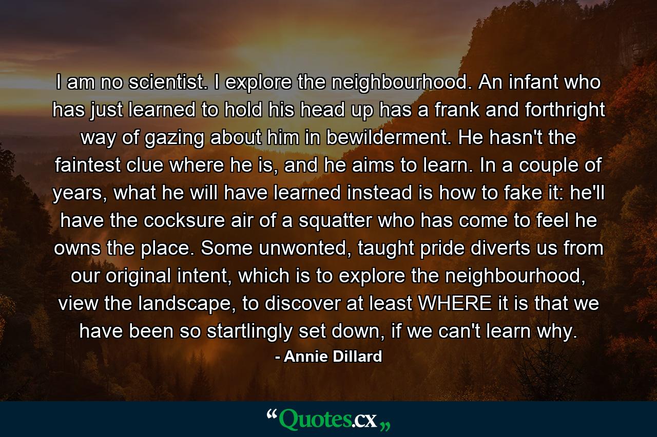 I am no scientist. I explore the neighbourhood. An infant who has just learned to hold his head up has a frank and forthright way of gazing about him in bewilderment. He hasn't the faintest clue where he is, and he aims to learn. In a couple of years, what he will have learned instead is how to fake it: he'll have the cocksure air of a squatter who has come to feel he owns the place. Some unwonted, taught pride diverts us from our original intent, which is to explore the neighbourhood, view the landscape, to discover at least WHERE it is that we have been so startlingly set down, if we can't learn why. - Quote by Annie Dillard