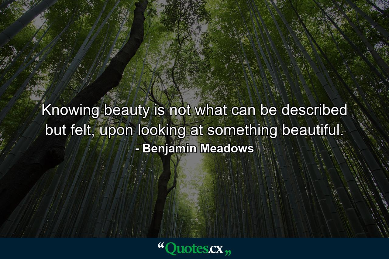 Knowing beauty is not what can be described but felt, upon looking at something beautiful. - Quote by Benjamin Meadows