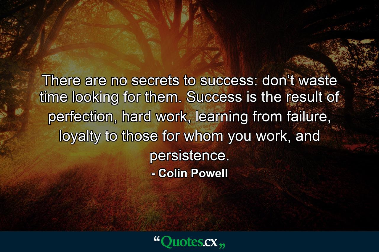 There are no secrets to success: don’t waste time looking for them. Success is the result of perfection, hard work, learning from failure, loyalty to those for whom you work, and persistence. - Quote by Colin Powell