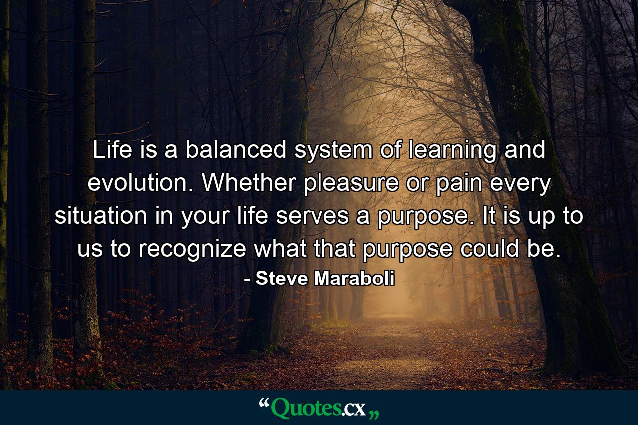 Life is a balanced system of learning and evolution. Whether pleasure or pain every situation in your life serves a purpose. It is up to us to recognize what that purpose could be. - Quote by Steve Maraboli