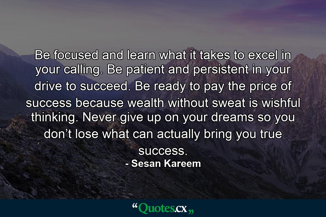 Be focused and learn what it takes to excel in your calling. Be patient and persistent in your drive to succeed. Be ready to pay the price of success because wealth without sweat is wishful thinking. Never give up on your dreams so you don’t lose what can actually bring you true success. - Quote by Sesan Kareem