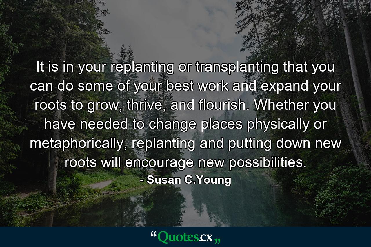 It is in your replanting or transplanting that you can do some of your best work and expand your roots to grow, thrive, and flourish. Whether you have needed to change places physically or metaphorically, replanting and putting down new roots will encourage new possibilities. - Quote by Susan C.Young