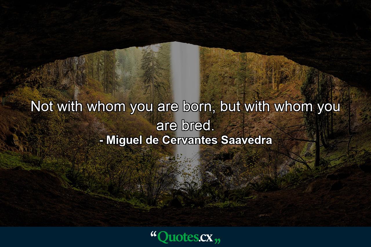 Not with whom you are born, but with whom you are bred. - Quote by Miguel de Cervantes Saavedra