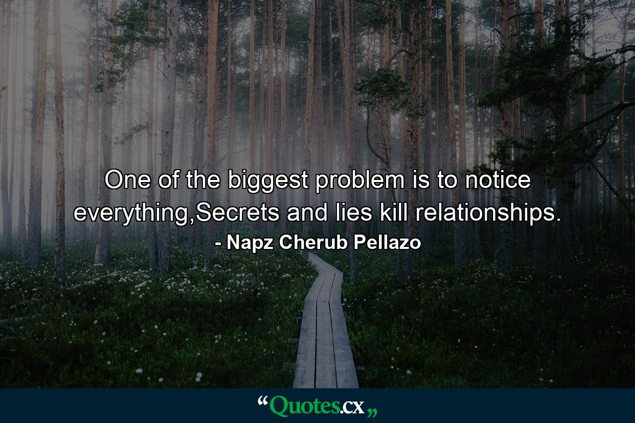 One of the biggest problem is to notice everything,Secrets and lies kill relationships. - Quote by Napz Cherub Pellazo