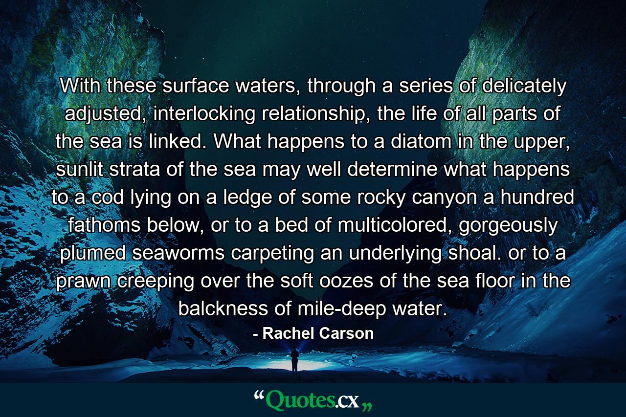 With these surface waters, through a series of delicately adjusted, interlocking relationship, the life of all parts of the sea is linked. What happens to a diatom in the upper, sunlit strata of the sea may well determine what happens to a cod lying on a ledge of some rocky canyon a hundred fathoms below, or to a bed of multicolored, gorgeously plumed seaworms carpeting an underlying shoal. or to a prawn creeping over the soft oozes of the sea floor in the balckness of mile-deep water. - Quote by Rachel Carson