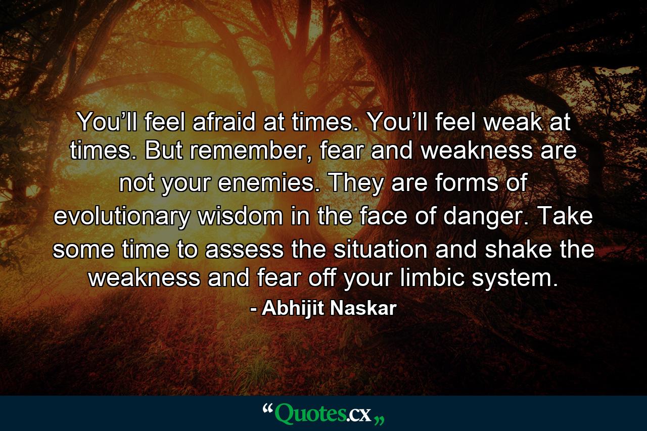 You’ll feel afraid at times. You’ll feel weak at times. But remember, fear and weakness are not your enemies. They are forms of evolutionary wisdom in the face of danger. Take some time to assess the situation and shake the weakness and fear off your limbic system. - Quote by Abhijit Naskar