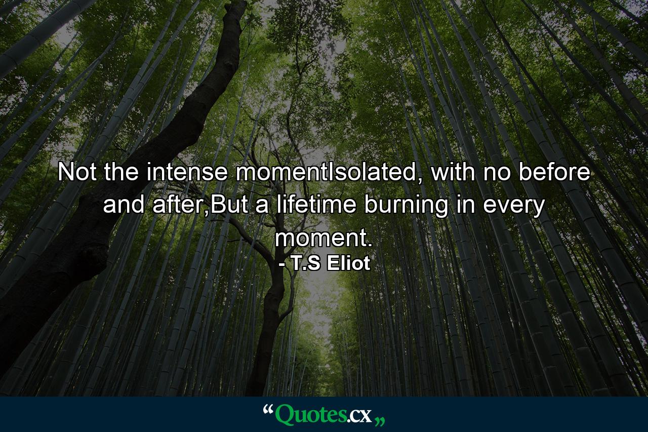 Not the intense momentIsolated, with no before and after,But a lifetime burning in every moment. - Quote by T.S Eliot