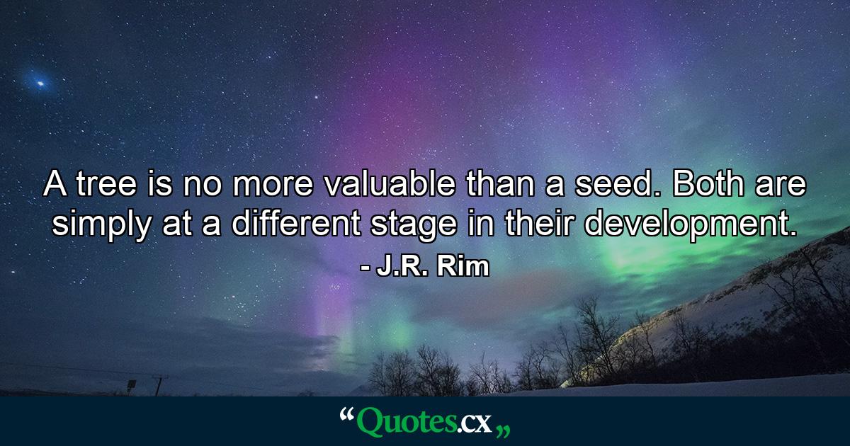 A tree is no more valuable than a seed. Both are simply at a different stage in their development. - Quote by J.R. Rim