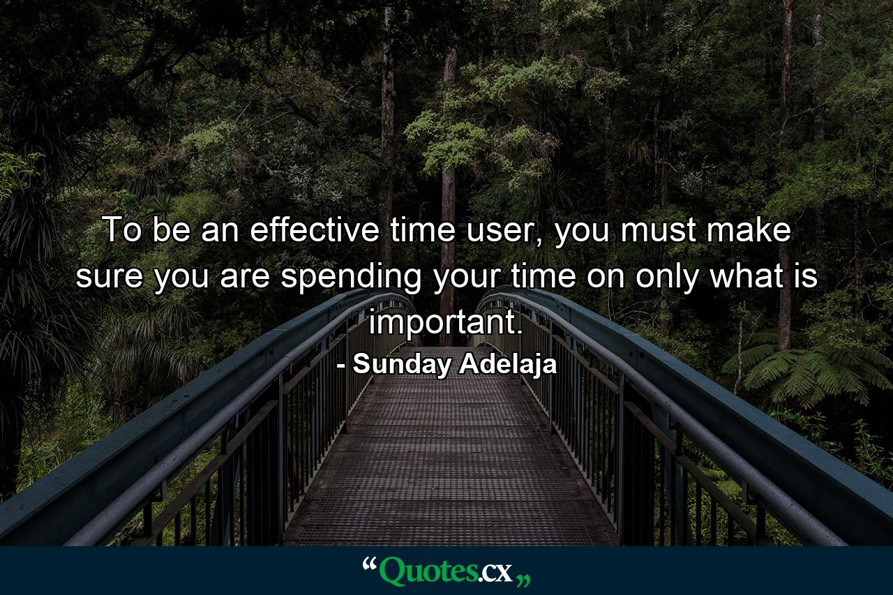 To be an effective time user, you must make sure you are spending your time on only what is important. - Quote by Sunday Adelaja