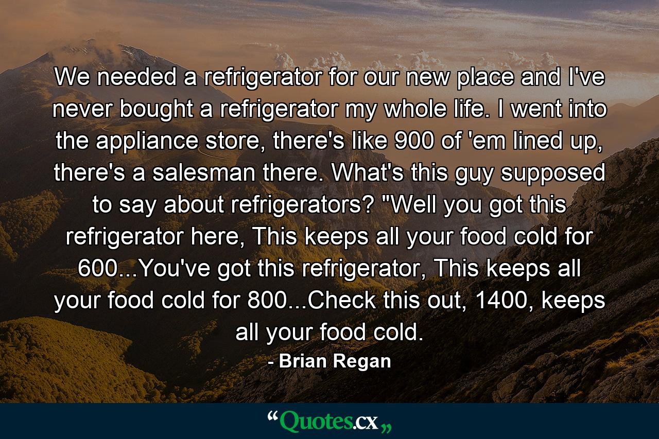 We needed a refrigerator for our new place and I've never bought a refrigerator my whole life. I went into the appliance store, there's like 900 of 'em lined up, there's a salesman there. What's this guy supposed to say about refrigerators? 