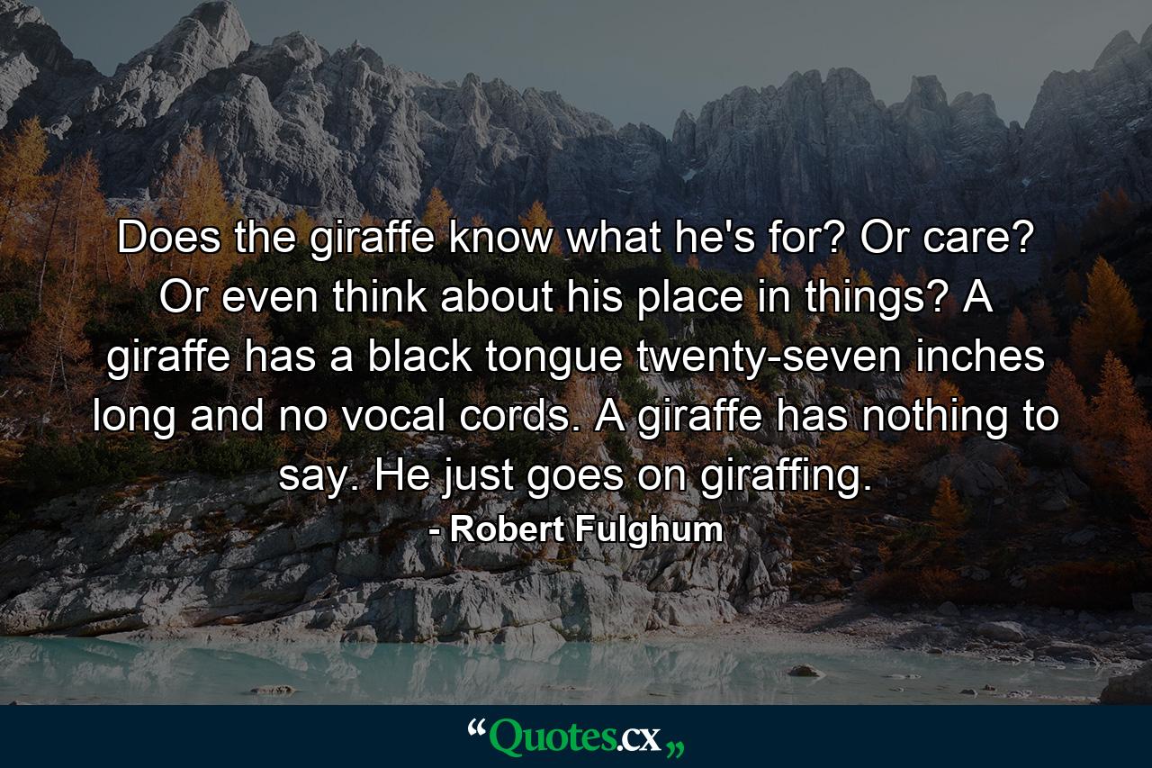 Does the giraffe know what he's for? Or care? Or even think about his place in things? A giraffe has a black tongue twenty-seven inches long and no vocal cords. A giraffe has nothing to say. He just goes on giraffing. - Quote by Robert Fulghum