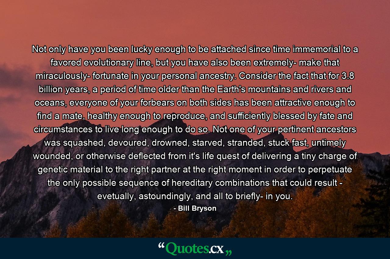 Not only have you been lucky enough to be attached since time immemorial to a favored evolutionary line, but you have also been extremely- make that miraculously- fortunate in your personal ancestry. Consider the fact that for 3.8 billion years, a period of time older than the Earth's mountains and rivers and oceans, everyone of your forbears on both sides has been attractive enough to find a mate, healthy enough to reproduce, and sufficiently blessed by fate and circumstances to live long enough to do so. Not one of your pertinent ancestors was squashed, devoured, drowned, starved, stranded, stuck fast, untimely wounded, or otherwise deflected from it's life quest of delivering a tiny charge of genetic material to the right partner at the right moment in order to perpetuate the only possible sequence of hereditary combinations that could result - evetually, astoundingly, and all to briefly- in you. - Quote by Bill Bryson