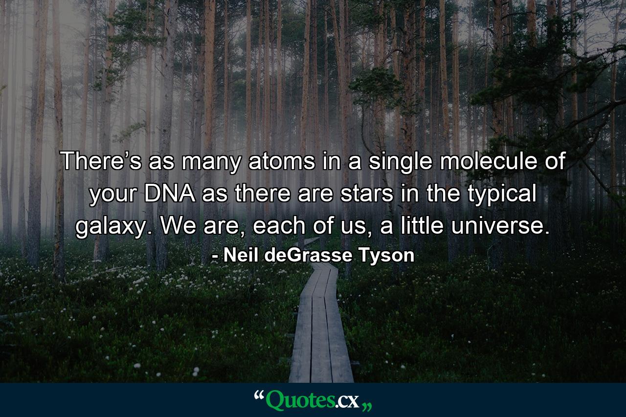 There’s as many atoms in a single molecule of your DNA as there are stars in the typical galaxy. We are, each of us, a little universe. - Quote by Neil deGrasse Tyson