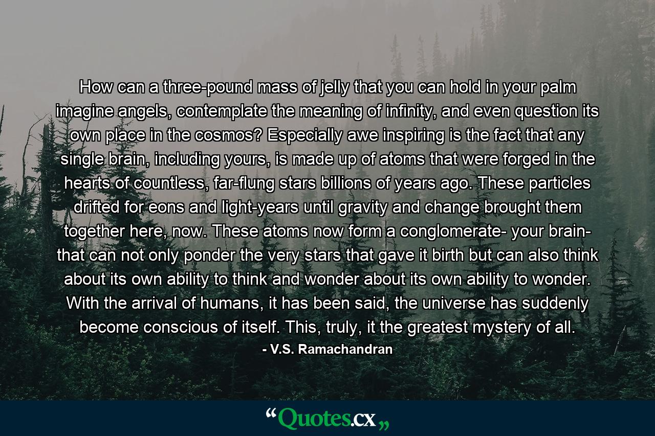 How can a three-pound mass of jelly that you can hold in your palm imagine angels, contemplate the meaning of infinity, and even question its own place in the cosmos? Especially awe inspiring is the fact that any single brain, including yours, is made up of atoms that were forged in the hearts of countless, far-flung stars billions of years ago. These particles drifted for eons and light-years until gravity and change brought them together here, now. These atoms now form a conglomerate- your brain- that can not only ponder the very stars that gave it birth but can also think about its own ability to think and wonder about its own ability to wonder. With the arrival of humans, it has been said, the universe has suddenly become conscious of itself. This, truly, it the greatest mystery of all. - Quote by V.S. Ramachandran
