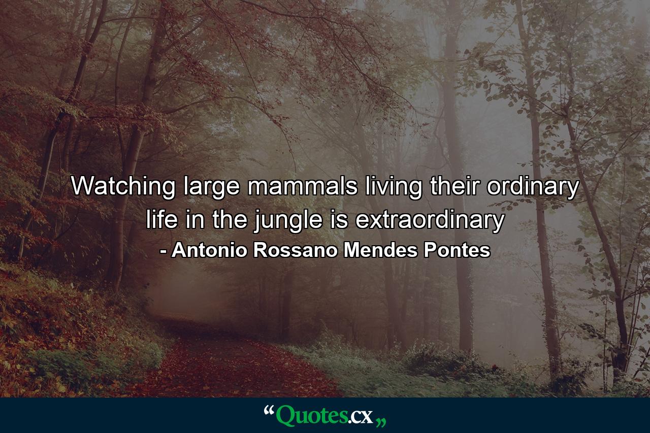 Watching large mammals living their ordinary life in the jungle is extraordinary - Quote by Antonio Rossano Mendes Pontes