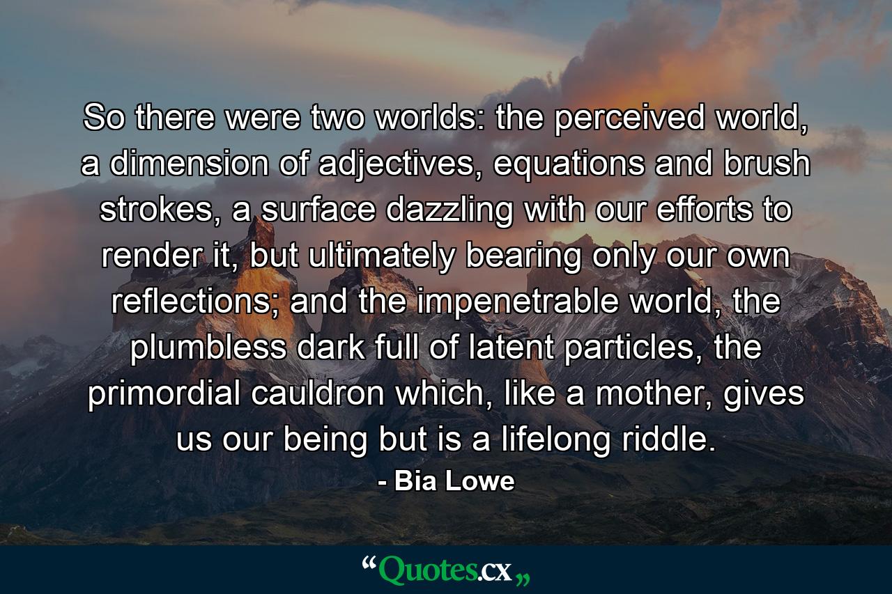 So there were two worlds: the perceived world, a dimension of adjectives, equations and brush strokes, a surface dazzling with our efforts to render it, but ultimately bearing only our own reflections; and the impenetrable world, the plumbless dark full of latent particles, the primordial cauldron which, like a mother, gives us our being but is a lifelong riddle. - Quote by Bia Lowe