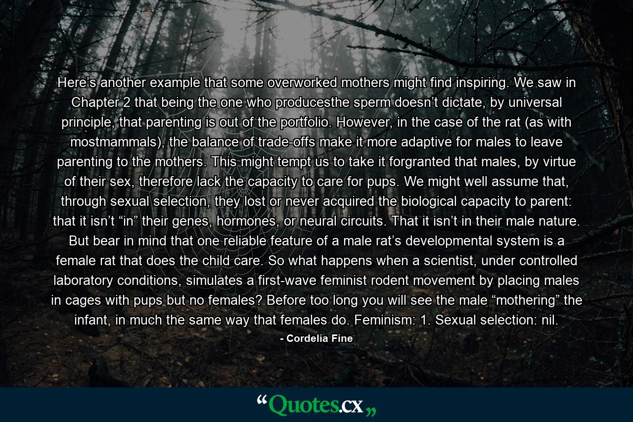 Here’s another example that some overworked mothers might find inspiring. We saw in Chapter 2 that being the one who producesthe sperm doesn’t dictate, by universal principle, that parenting is out of the portfolio. However, in the case of the rat (as with mostmammals), the balance of trade-offs make it more adaptive for males to leave parenting to the mothers. This might tempt us to take it forgranted that males, by virtue of their sex, therefore lack the capacity to care for pups. We might well assume that, through sexual selection, they lost or never acquired the biological capacity to parent: that it isn’t “in” their genes, hormones, or neural circuits. That it isn’t in their male nature. But bear in mind that one reliable feature of a male rat’s developmental system is a female rat that does the child care. So what happens when a scientist, under controlled laboratory conditions, simulates a first-wave feminist rodent movement by placing males in cages with pups but no females? Before too long you will see the male “mothering” the infant, in much the same way that females do. Feminism: 1. Sexual selection: nil. - Quote by Cordelia Fine