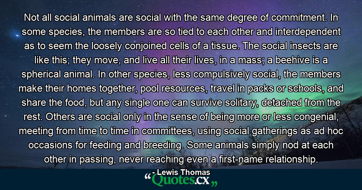 Not all social animals are social with the same degree of commitment. In some species, the members are so tied to each other and interdependent as to seem the loosely conjoined cells of a tissue. The social insects are like this; they move, and live all their lives, in a mass; a beehive is a spherical animal. In other species, less compulsively social, the members make their homes together, pool resources, travel in packs or schools, and share the food, but any single one can survive solitary, detached from the rest. Others are social only in the sense of being more or less congenial, meeting from time to time in committees, using social gatherings as ad hoc occasions for feeding and breeding. Some animals simply nod at each other in passing, never reaching even a first-name relationship. - Quote by Lewis Thomas