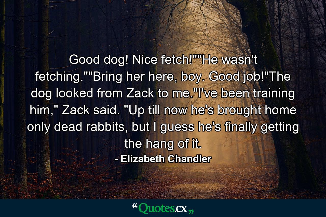 Good dog! Nice fetch!