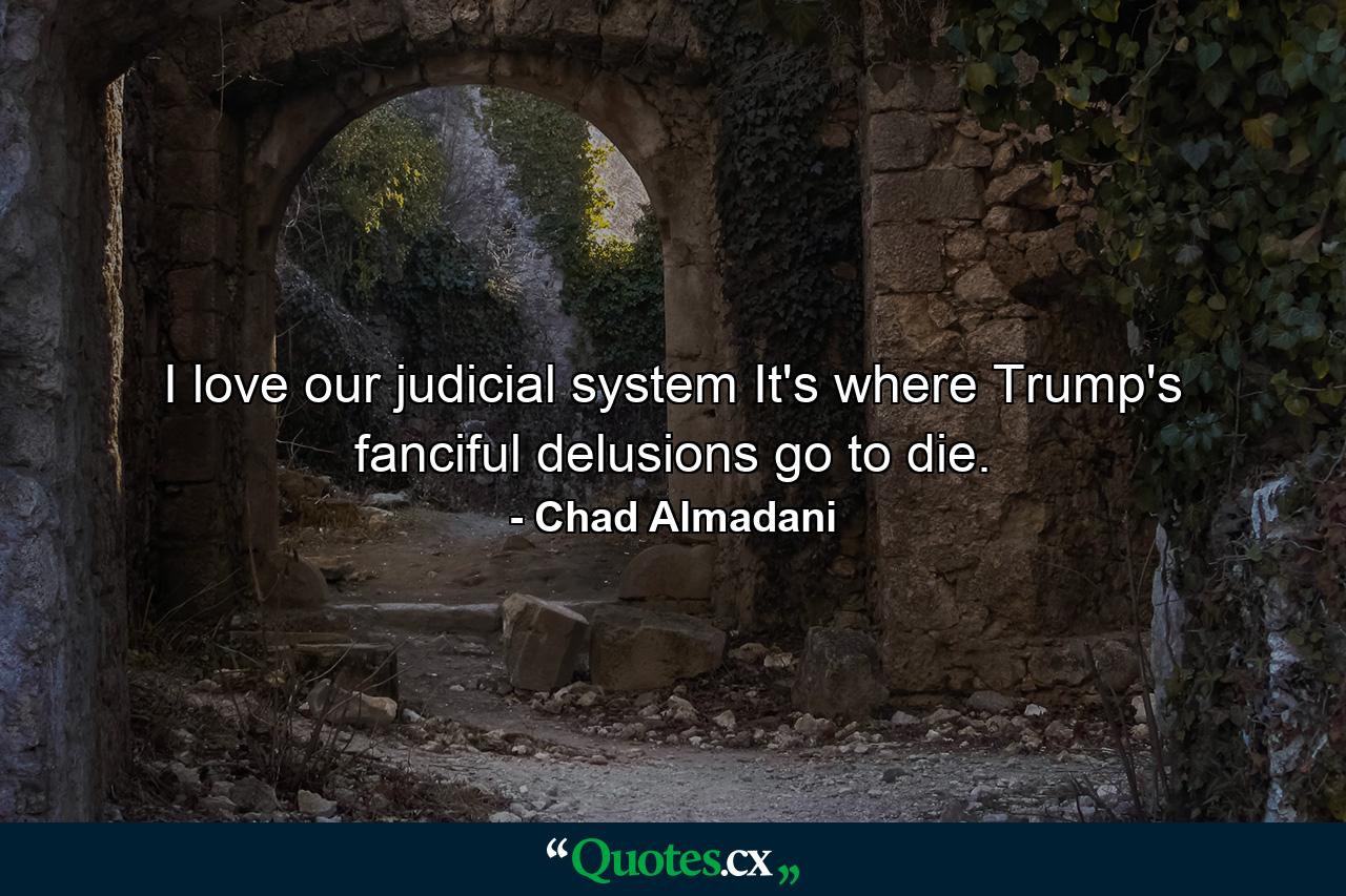 I love our judicial system It's where Trump's fanciful delusions go to die. - Quote by Chad Almadani