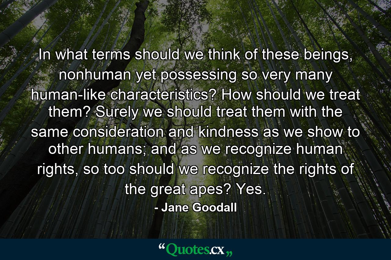 In what terms should we think of these beings, nonhuman yet possessing so very many human-like characteristics? How should we treat them? Surely we should treat them with the same consideration and kindness as we show to other humans; and as we recognize human rights, so too should we recognize the rights of the great apes? Yes. - Quote by Jane Goodall