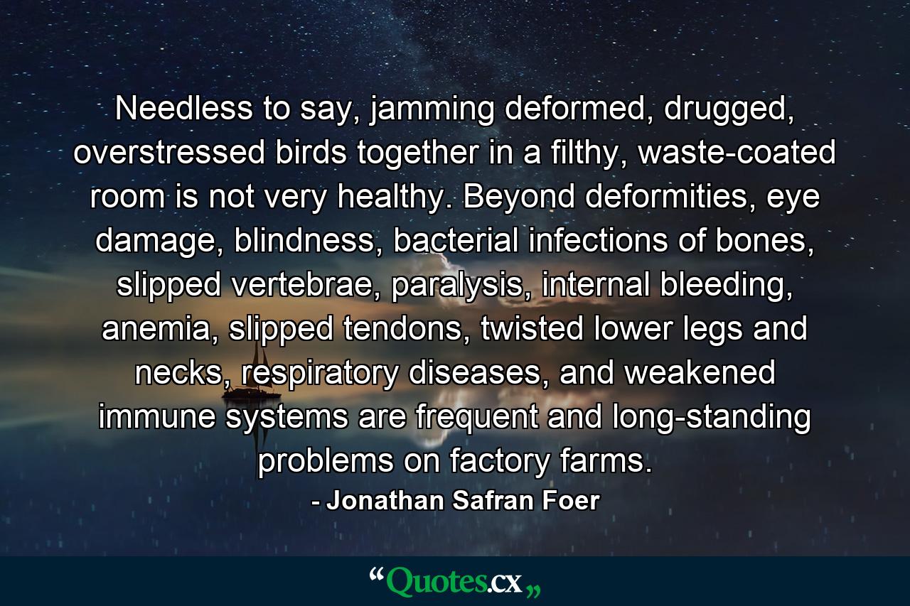 Needless to say, jamming deformed, drugged, overstressed birds together in a filthy, waste-coated room is not very healthy. Beyond deformities, eye damage, blindness, bacterial infections of bones, slipped vertebrae, paralysis, internal bleeding, anemia, slipped tendons, twisted lower legs and necks, respiratory diseases, and weakened immune systems are frequent and long-standing problems on factory farms. - Quote by Jonathan Safran Foer