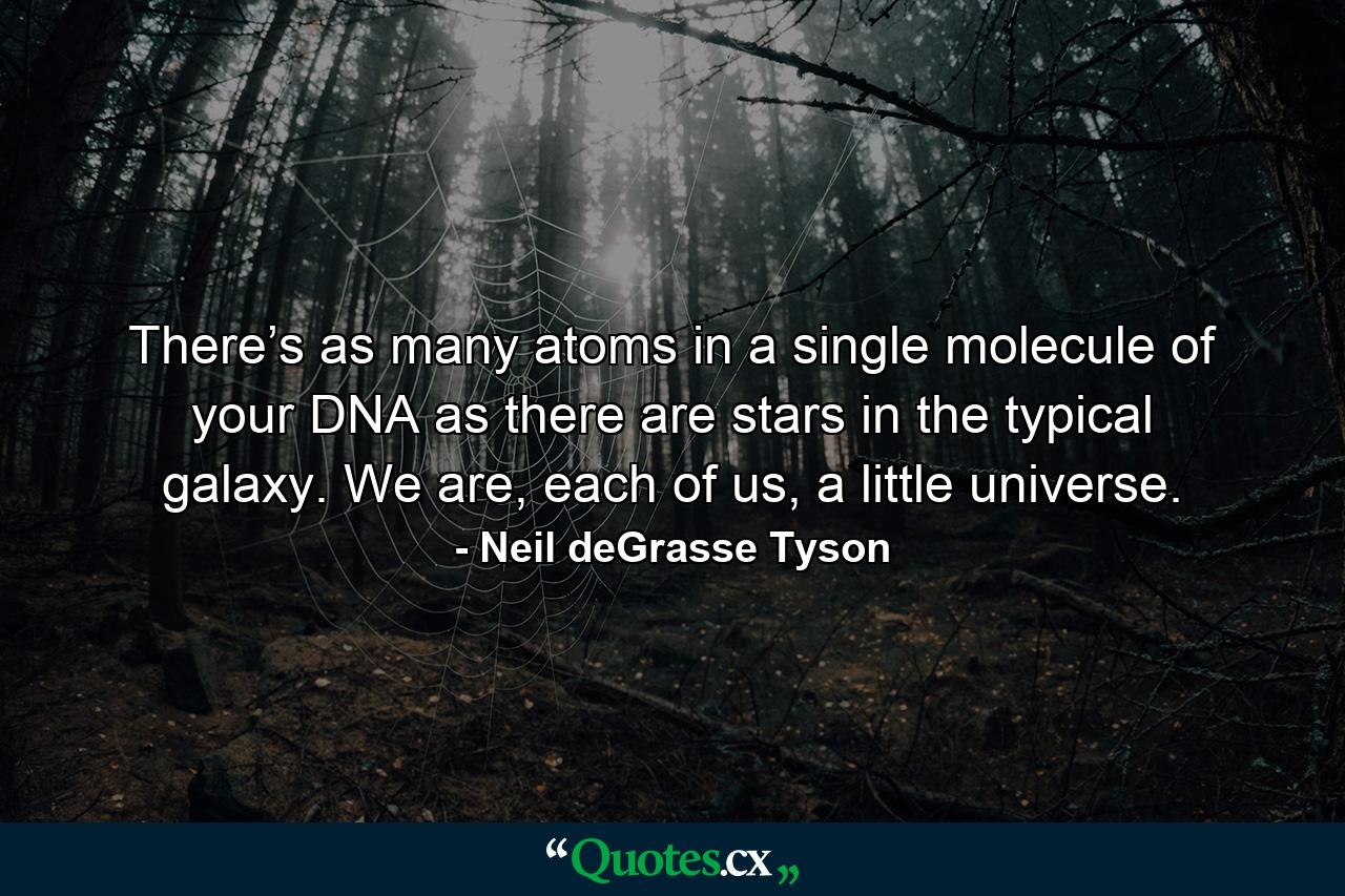 There’s as many atoms in a single molecule of your DNA as there are stars in the typical galaxy. We are, each of us, a little universe. - Quote by Neil deGrasse Tyson