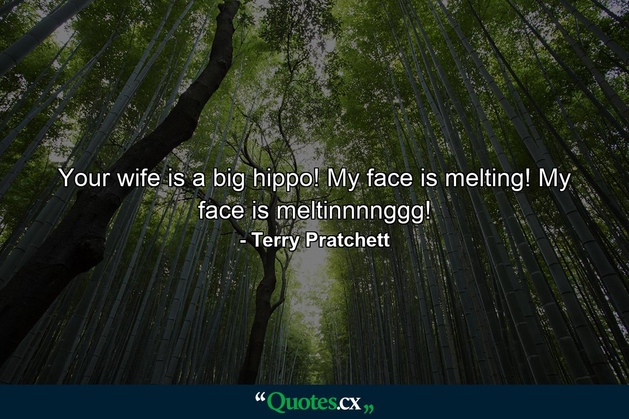 Your wife is a big hippo! My face is melting! My face is meltinnnnggg! - Quote by Terry Pratchett