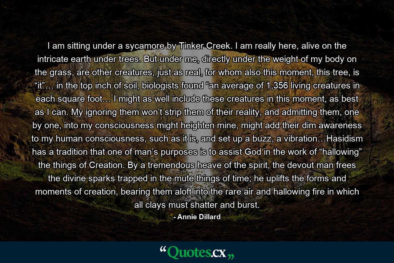 I am sitting under a sycamore by Tinker Creek. I am really here, alive on the intricate earth under trees. But under me, directly under the weight of my body on the grass, are other creatures, just as real, for whom also this moment, this tree, is “it”… in the top inch of soil, biologists found “an average of 1,356 living creatures in each square foot… I might as well include these creatures in this moment, as best as I can. My ignoring them won’t strip them of their reality, and admitting them, one by one, into my consciousness might heighten mine, might add their dim awareness to my human consciousness, such as it is, and set up a buzz, a vibration…Hasidism has a tradition that one of man’s purposes is to assist God in the work of “hallowing” the things of Creation. By a tremendous heave of the spirit, the devout man frees the divine sparks trapped in the mute things of time; he uplifts the forms and moments of creation, bearing them aloft into the rare air and hallowing fire in which all clays must shatter and burst. - Quote by Annie Dillard