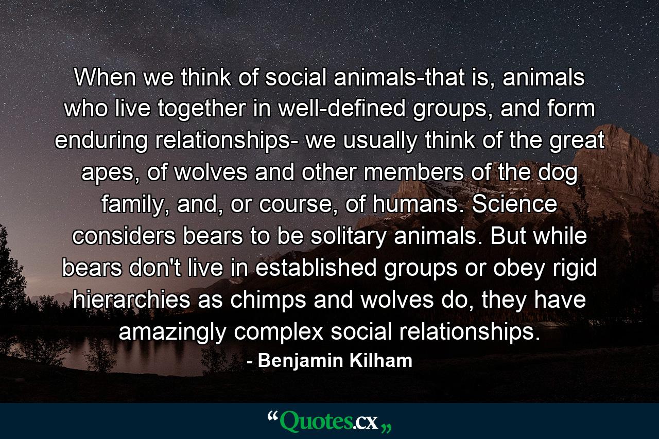 When we think of social animals-that is, animals who live together in well-defined groups, and form enduring relationships- we usually think of the great apes, of wolves and other members of the dog family, and, or course, of humans. Science considers bears to be solitary animals. But while bears don't live in established groups or obey rigid hierarchies as chimps and wolves do, they have amazingly complex social relationships. - Quote by Benjamin Kilham