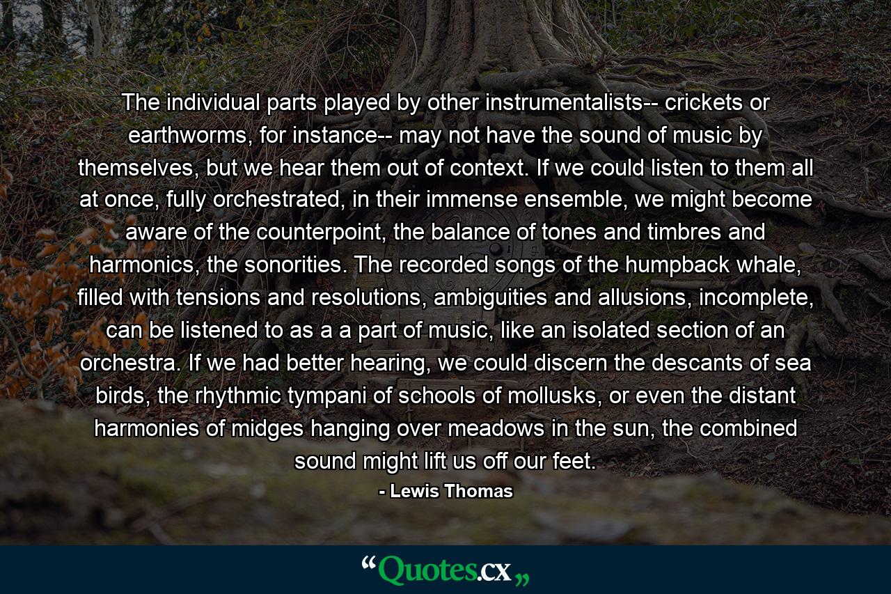 The individual parts played by other instrumentalists-- crickets or earthworms, for instance-- may not have the sound of music by themselves, but we hear them out of context. If we could listen to them all at once, fully orchestrated, in their immense ensemble, we might become aware of the counterpoint, the balance of tones and timbres and harmonics, the sonorities. The recorded songs of the humpback whale, filled with tensions and resolutions, ambiguities and allusions, incomplete, can be listened to as a a part of music, like an isolated section of an orchestra. If we had better hearing, we could discern the descants of sea birds, the rhythmic tympani of schools of mollusks, or even the distant harmonies of midges hanging over meadows in the sun, the combined sound might lift us off our feet. - Quote by Lewis Thomas