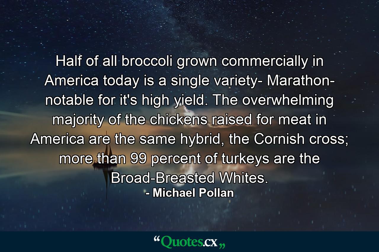 Half of all broccoli grown commercially in America today is a single variety- Marathon- notable for it's high yield. The overwhelming majority of the chickens raised for meat in America are the same hybrid, the Cornish cross; more than 99 percent of turkeys are the Broad-Breasted Whites. - Quote by Michael Pollan